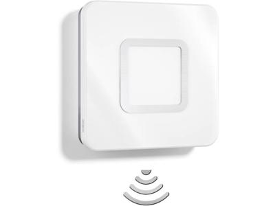 Steinel WandlampRS LED M1 V2 met bewegingssensor - 52492