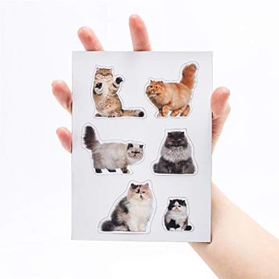 Mosterd Dikke Kat Magneten - 12 stuks - thumbnail