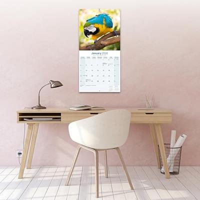 Macaws Calendar 2026 Square Bird Wall Calendar - 16 Month