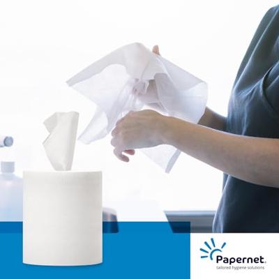 Papernet papieren handdoeken Maxi Centerfeed, 2-laags, 108 m, 450 vel, pak van 6 rollen