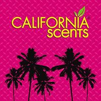 Auto luchtverfrisser California Scents CCS-1246CTMC Concord Cranberry Blik 42 g - thumbnail