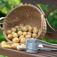 Westmark 61202260 Spuit- en aardappelpers „Spetlechef” zilver 42 cm, handgeschuurd - thumbnail