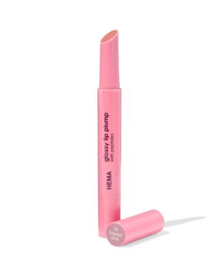 HEMA Glossy lipplump 79 toasted pink (oudroze)