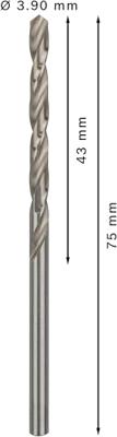 Bosch Accessoires Metaalboren HSS-G, Standard 3,9 x 43 x 75 mm 10st - 2608585485