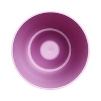 Elho brussels orchidee high 12,5 violet - thumbnail