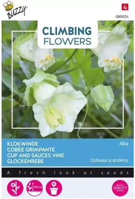 Zaden Flowering Climbers Cobaea Alba Wit Buzzy - Buzzy