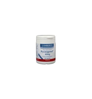 Lamberts Pijnboombast extract (Pycnogenol 40mg) 60 Vegetarische capsules