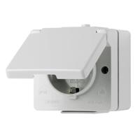 Jung 620WX Wandcontactdoos met randaarde en klapdeksel Compleet WG 600 Lichtgrijs 1 stuk(s) - thumbnail