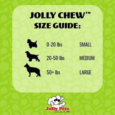 Jolly Pets Bone TPE Hondenspeelgoed, 19 cm, Blauw