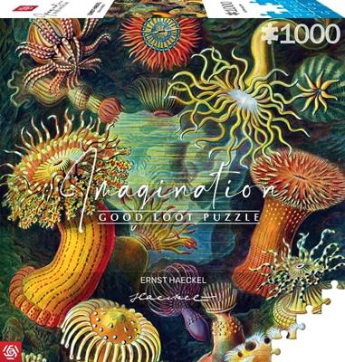 Verbeeldingspuzzel: Ernst Haeckel Zeeschepsels 1000 elementen