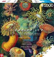 Verbeeldingspuzzel: Ernst Haeckel Zeeschepsels 1000 elementen - thumbnail