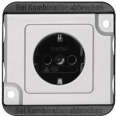 Merten MEG2400-7060 Wandcontactdoos met randaarde Inzetstuk Zilver 1 stuk(s)