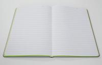 Sigel LS201 Notitieboek Linescape Hardcover DIN A5 Gelinieerd Lichtgrijs, Neon-groen Aantal paginas: 88 - thumbnail