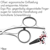 Jaguar Scissors Silver Line Fame 42 5,75" - thumbnail