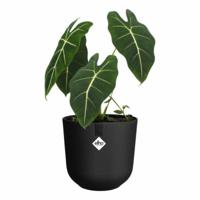 Elho Bloempot Jazz Rond Zwart Ø26cm - thumbnail
