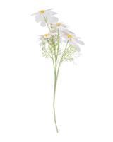 HEMA Kunstbloem galsang wit (wit) - thumbnail