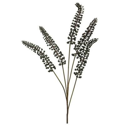 Phytolacca zwart 93cm