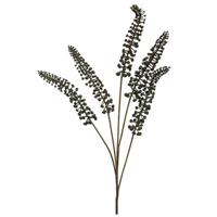 Phytolacca zwart 93cm - thumbnail