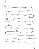 HEMA Lichtsnoer 27.9m met 200 lampjes voor binnen en buiten (wit) - thumbnail