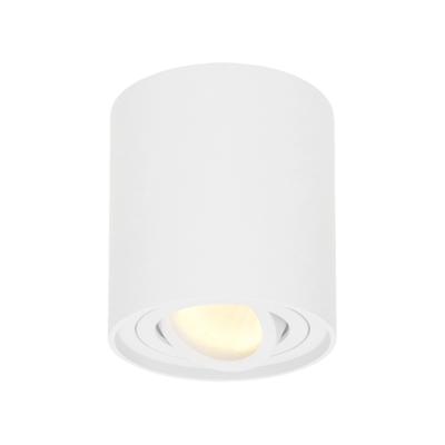 Ronde LED Opbouwspot Ray - 4 Watt 345 lumen - 2700K warm wit - Kantelbaar - GU10 - Opbouwspot - IP20 Voor binnen - Wit - Dimbaar Ronde LED Opbouwspot Ray - 4 Watt 345 lumen - 2700K warm wit - Kantelbaar - GU10 - Opbouwspot - IP20 Voor binnen - Wit - Dimbaar
