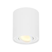 Ronde LED Opbouwspot Ray - 4 Watt 345 lumen - 2700K warm wit - Kantelbaar - GU10 - Opbouwspot - IP20 Voor binnen - Wit - Dimbaar - thumbnail