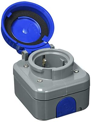 Busch-Jaeger Busch-duro WDI wandcontactdoos 2-polig met klapdeksel randaarde, blauw