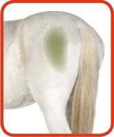 Excellent Horse Hi Gloss Clean Spray 500 ml - thumbnail