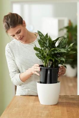 Elho self-watering insert 24 living black