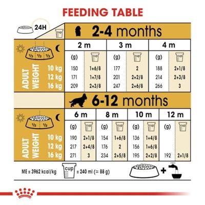 Royal Canin Puppy Cocker Spaniel hondenvoer 3 kg - thumbnail