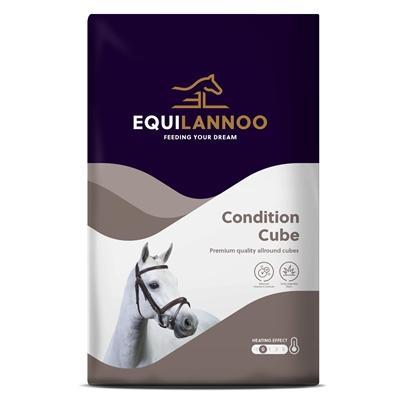 Equilannoo condition cube