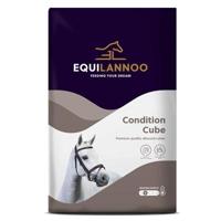 Equilannoo condition cube - thumbnail