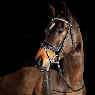 Horze Rohan Trenshoofdstel