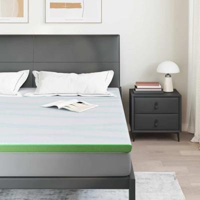 VidaXL Matrastopper wit en groen 200 x 200 cm jacquard stof VidaXL Matrastopper wit en groen 200 x 200 cm jacquard stof