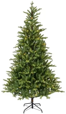 Everlands Allison fir grote verlichte kunstkerstboom groen 240cm, 560 lampjes