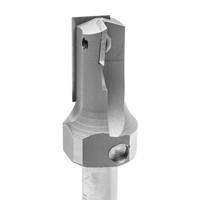 ENT Wisselmes groeffrees HM 18x30mm, met 2 messen kolf 12mm - 7920181 - 7920181 - thumbnail