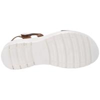 Ara 1233518 - alle - thumbnail