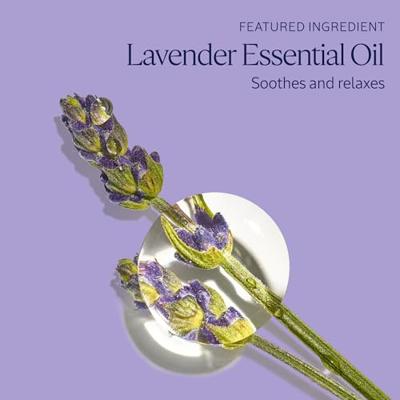 L'Occitane Lavende Foaming Bath 500ml Douche & bad L'Occitane Lavende Foaming Bath 500ml Douche & bad