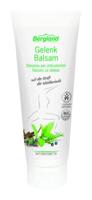 Bergland Gewrichtbalsem 100 Milliliter - thumbnail