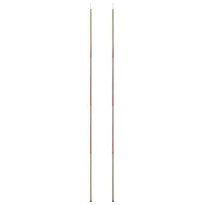 VidaXL Zonneschermpalen 2 st 200 cm gegalvaniseerd staal VidaXL Zonneschermpalen 2 st 200 cm gegalvaniseerd staal