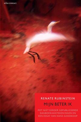 Mijn beter ik - Renate Rubinstein - eBook (9789045031866)