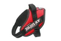 Julius-K9 IDC-Powertuig Mini 49-67cm rood - thumbnail