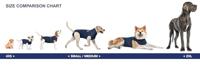 Medical Pet Shirt Hond Blauw XXL - thumbnail