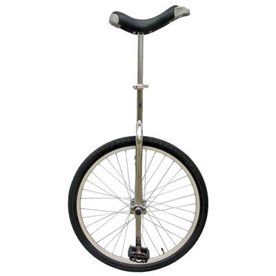 Fun Eenwieler 24 Inch 53 cm Unisex Zilver