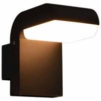 VidaXL Led-buitenwandlamp 9 w ovaal zwart - thumbnail