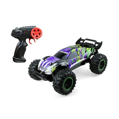 Speed Racing op afstand bestuurbare auto - paars