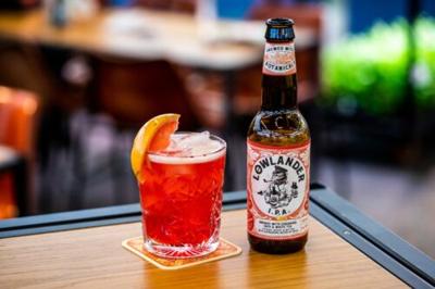 Lowlander I.P.A. Fles 330 ml bij Jumbo