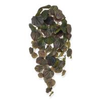 Peperomia Caperata kunsthanger 60cm - burgundy - thumbnail
