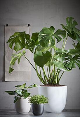 Mica Decorations bloempot Tusca rond 25x23 cm antraciet