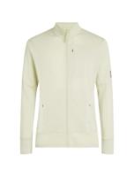 Icebreaker 260 Quantum IV LS Zip Vest Heren Ashen M - thumbnail