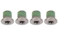 Shimano xt/slx chainring bolts inside - thumbnail